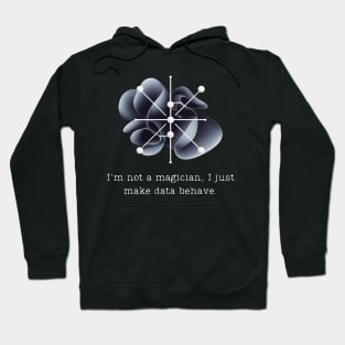 I'm not a magician, I just make data behave. Data Modeling Design Hoodie